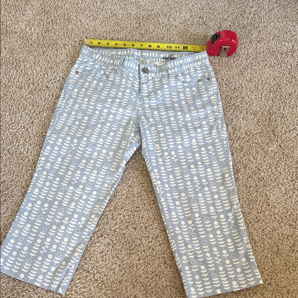 Anthropologie Idra  Floral Patterned Women's capris Sz 2